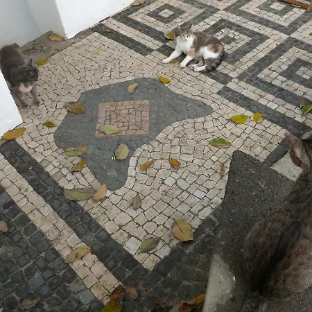 Guest house Casadangra, Angra do Heroismo