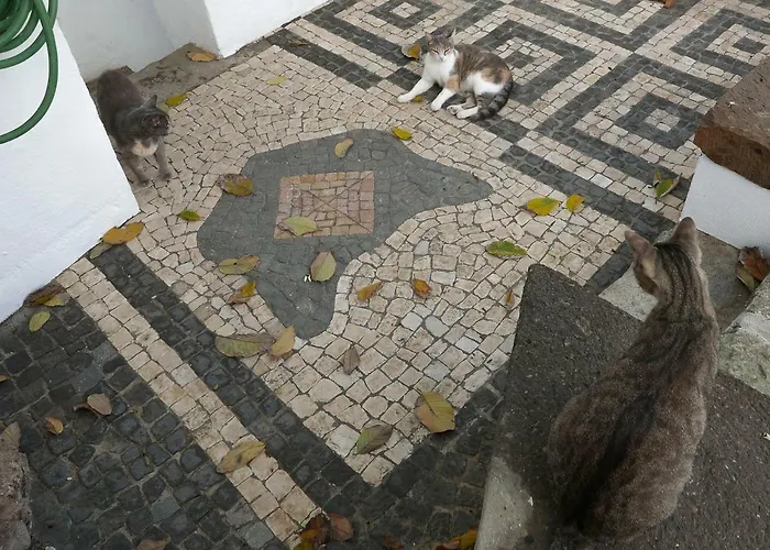 בית הארחה Casadangra, Angra do Heroísmo